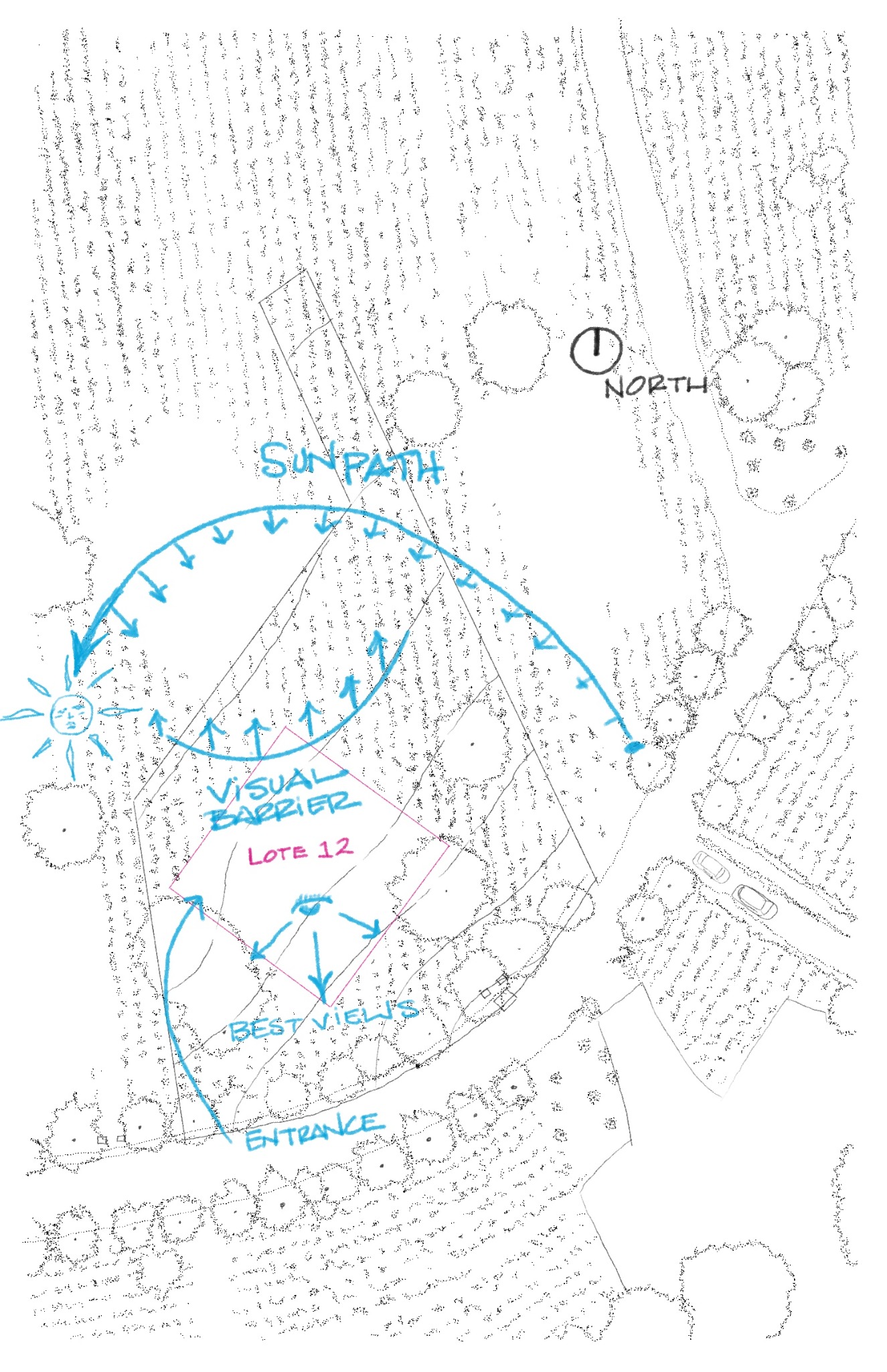 Context study for Calli Yeliztli